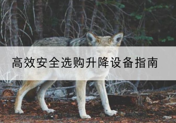京口升降货梯厂家推荐-*安全选购升降设备指南