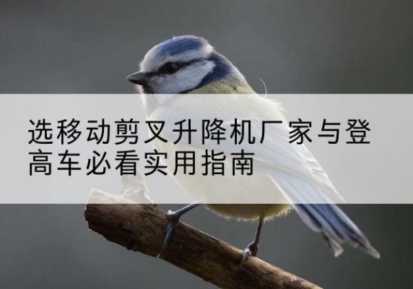 京口电动升降机厂家-选移动剪叉升降机厂家与登高车必看实用指南