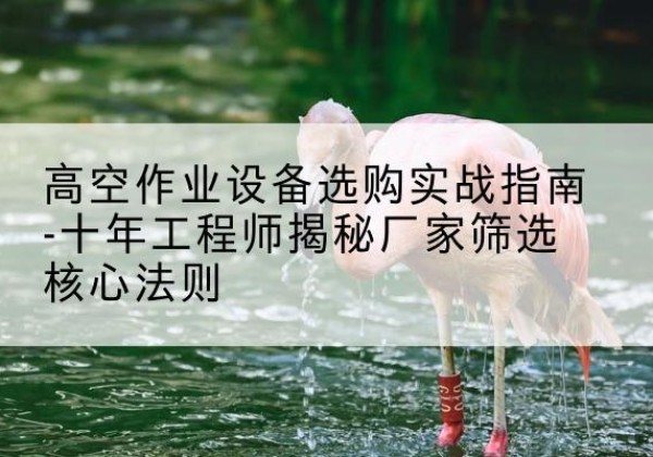 京口剪叉式升降机厂家-高空作业设备选购实战指南-十年工程师揭秘厂家筛选核心法则